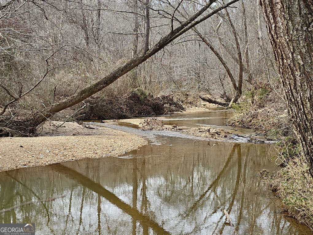 0 Hutcheson Rd Off Temple, GA 30179 - Photo 39 of 45