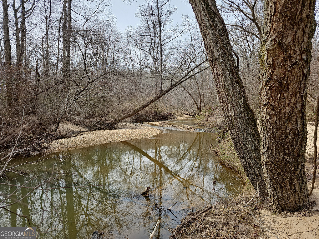 0 Hutcheson Rd Off Temple, GA 30179 - Photo 40 of 45