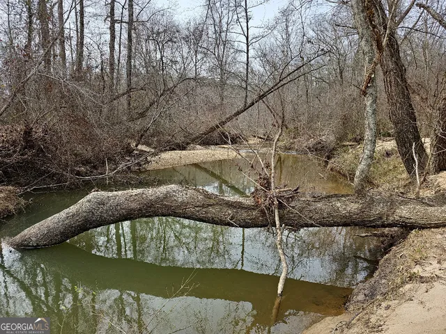 $170,850 | 0 Hutcheson Rd Off, Temple, GA 30179