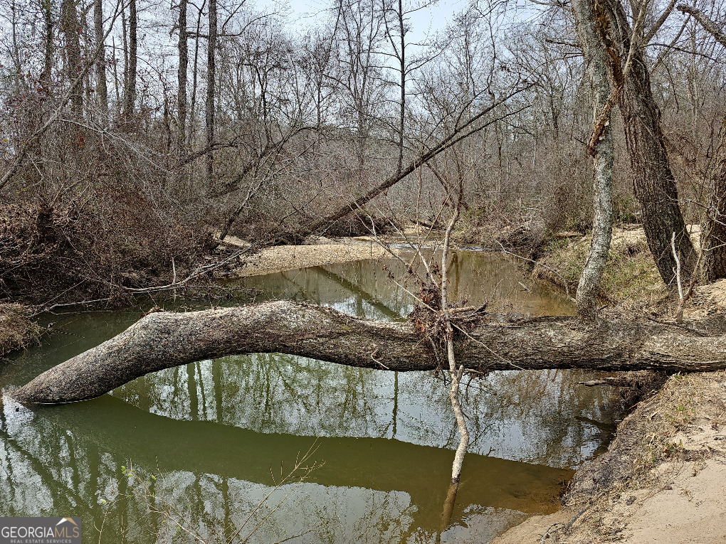 0 Hutcheson Rd Off Temple, GA 30179 - Photo 4 of 45