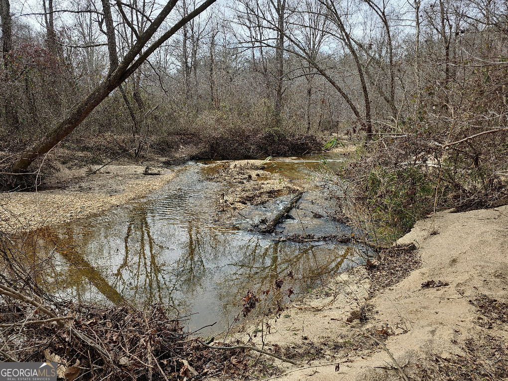 0 Hutcheson Rd Off Temple, GA 30179 - Photo 41 of 45