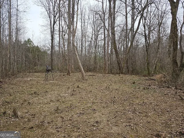 $170,850 | 0 Hutcheson Rd Off, Temple, GA 30179