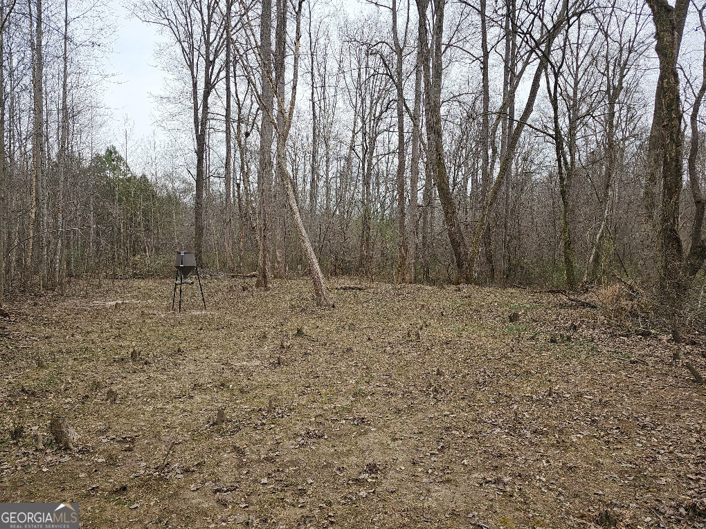 0 Hutcheson Rd Off Temple, GA 30179 - Photo 5 of 45