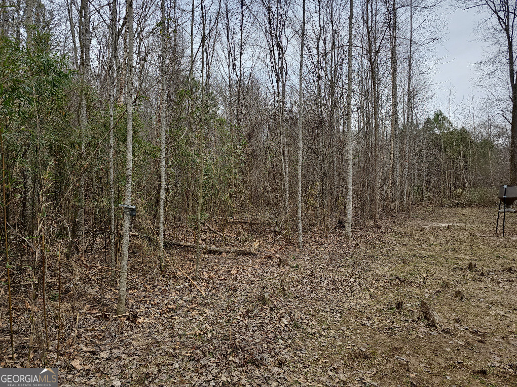 0 Hutcheson Rd Off Temple, GA 30179 - Photo 6 of 45