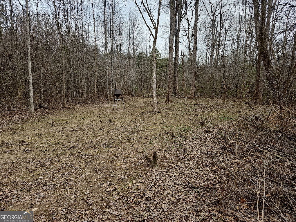 0 Hutcheson Rd Off Temple, GA 30179 - Photo 7 of 45