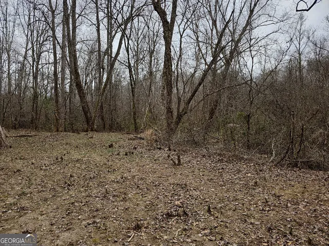 $170,850 | 0 Hutcheson Rd Off, Temple, GA 30179