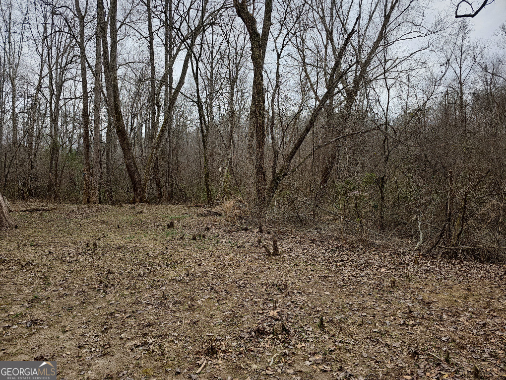 0 Hutcheson Rd Off Temple, GA 30179 - Photo 8 of 45