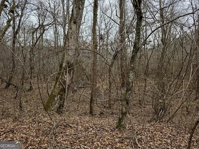 $170,850 | 0 Hutcheson Rd Off, Temple, GA 30179