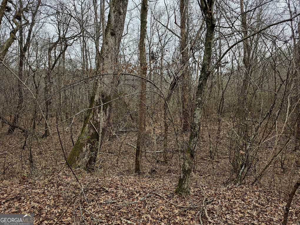 0 Hutcheson Rd Off Temple, GA 30179 - Photo 9 of 45