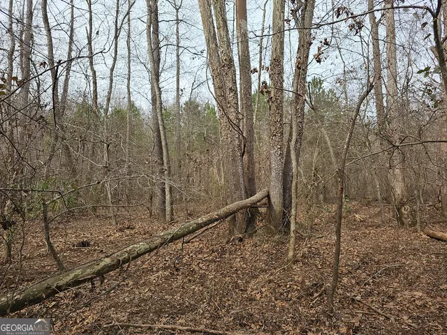 $170,850 | 0 Hutcheson Rd Off, Temple, GA 30179