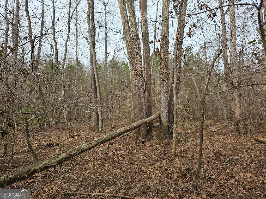 0 Hutcheson Rd Off Temple, GA 30179 - Photo 10 of 45