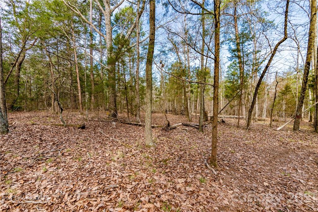 4135 Mt Hope Church Road Salisbury, NC 28146 - Photo 23 of 25 Gallery Image 23