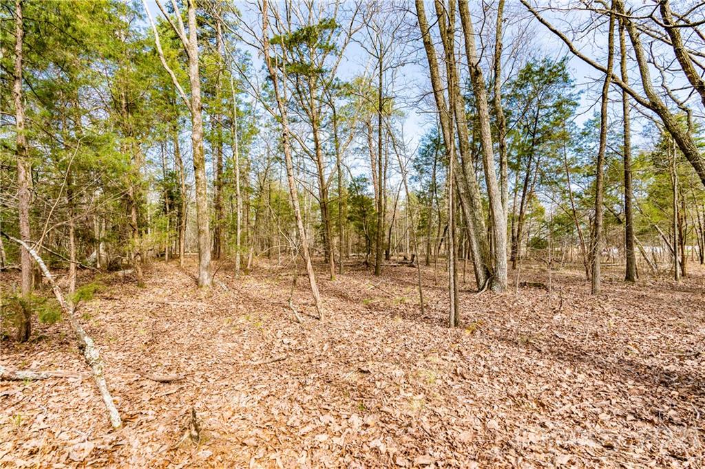 4135 Mt Hope Church Road Salisbury, NC 28146 - Photo 24 of 25 Gallery Image 24
