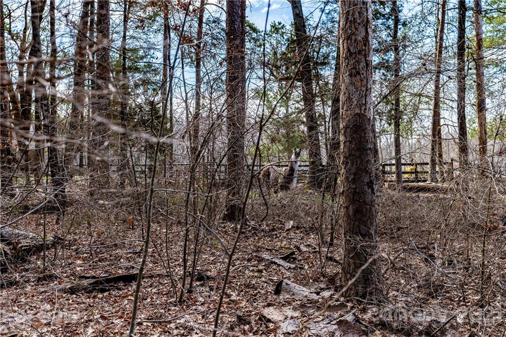 4135 Mt Hope Church Road Salisbury, NC 28146 - Photo 25 of 25 Gallery Image 25