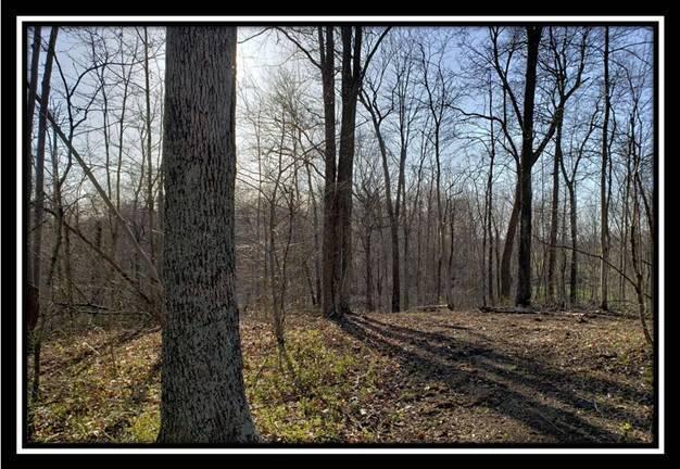 0 Harrison Road Jackson, OH 45640 - Photo 39 of 50 image040