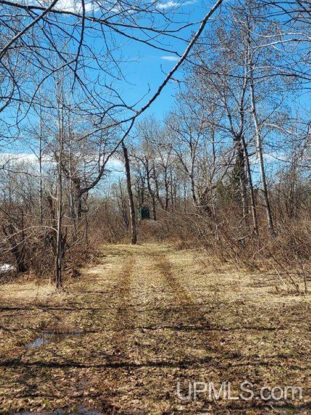 Tbd North Novak Road Ewen, MI 49925 - Photo 12 of 12