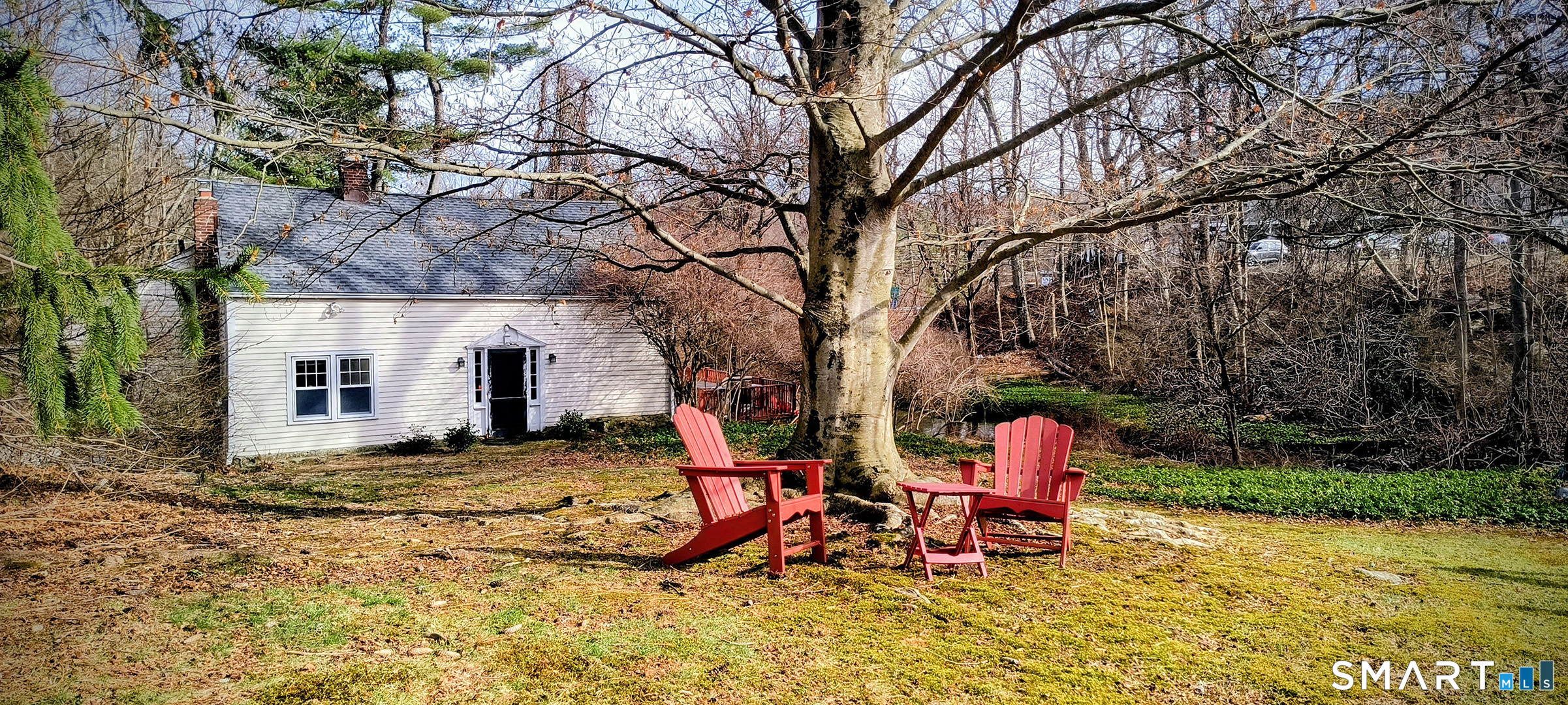 a view of backyard with table and chairs and a large tree