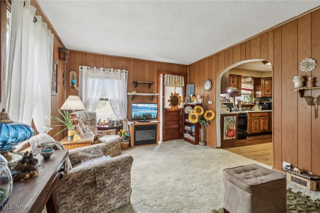 944 Bey Road Akron, OH 44312 - Photo 11 of 47 Living area with arched walkways, a textured ceiling, wood walls, and light carpet