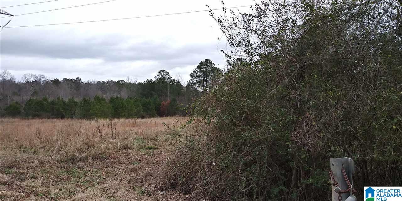 7240 Pocahontas Road, Unit 39 63 ACRES Bessemer, AL 35022 - Photo 5 of 5