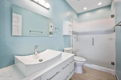 a bathroom with a sink a toilet and mirror