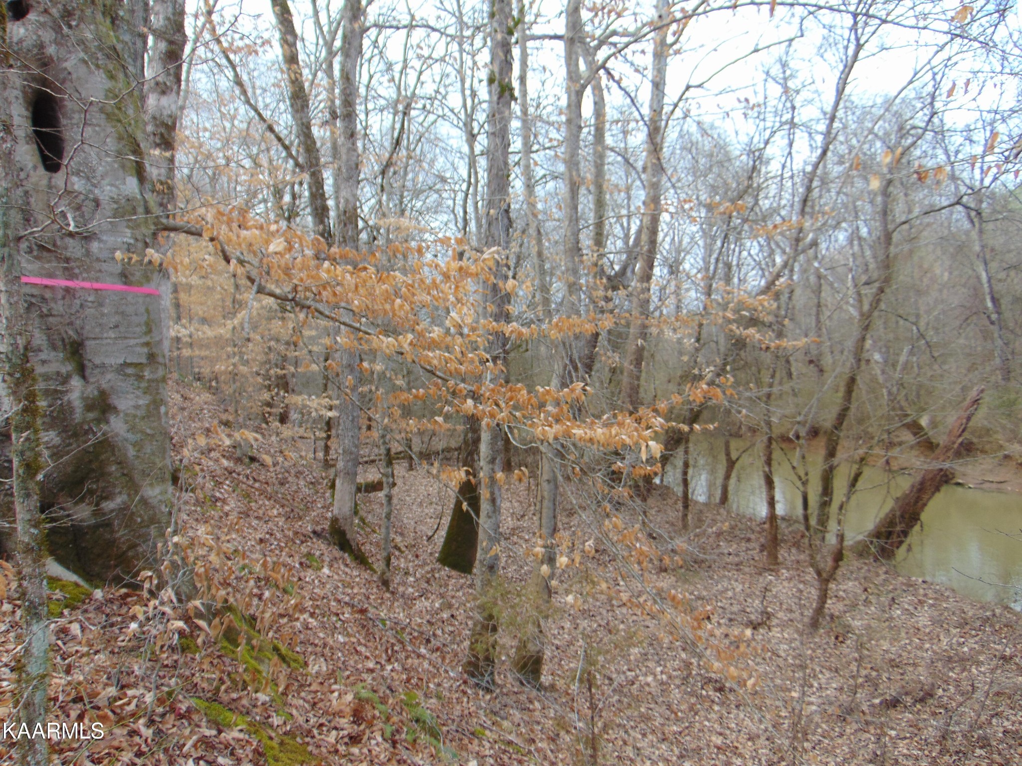 14 Athens Road Calhoun, TN 37309 - Photo 27 of 50 Gallery Image 27