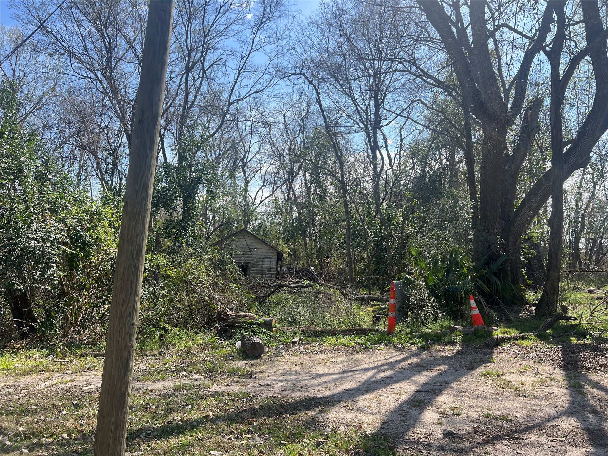 1720 Strawn Road Houston, TX 77039 - Photo 3 of 9 a view of a tree in the middle of a yard