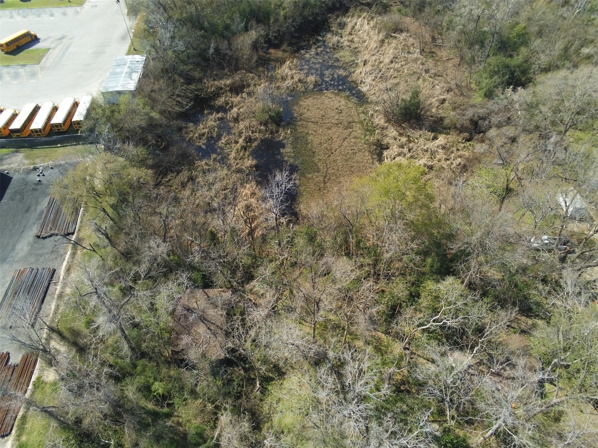 1720 Strawn Road Houston, TX 77039 - Photo 6 of 9 a view of a forest with large trees