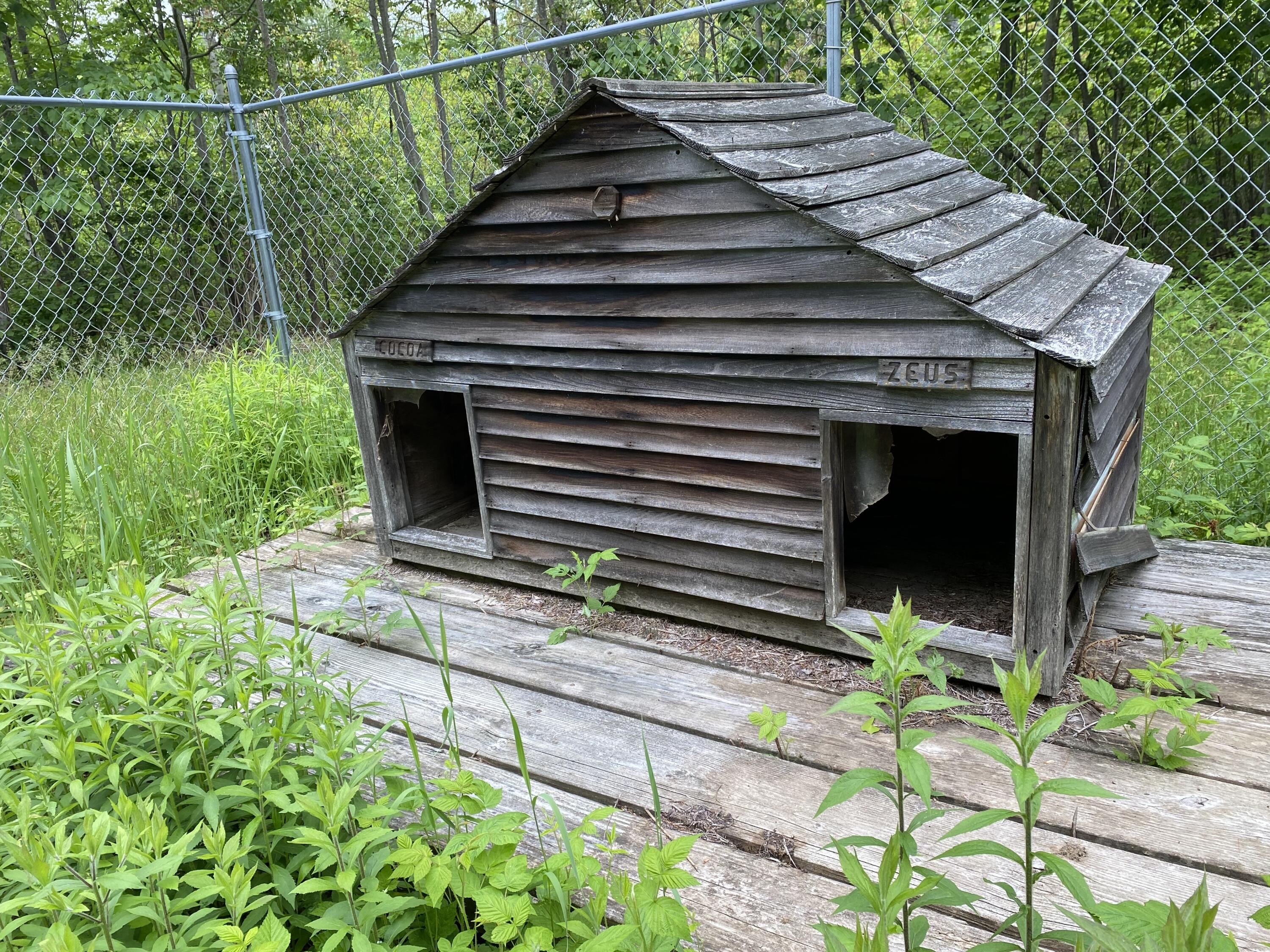 797 Ward Hill Road Troy, ME 04987 - Photo 40 of 49 Ward Hill Road Duplex Doghouse