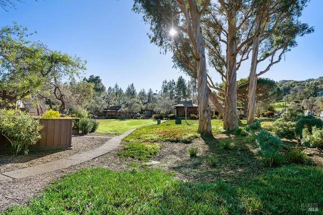 a view of a garden with a fountain