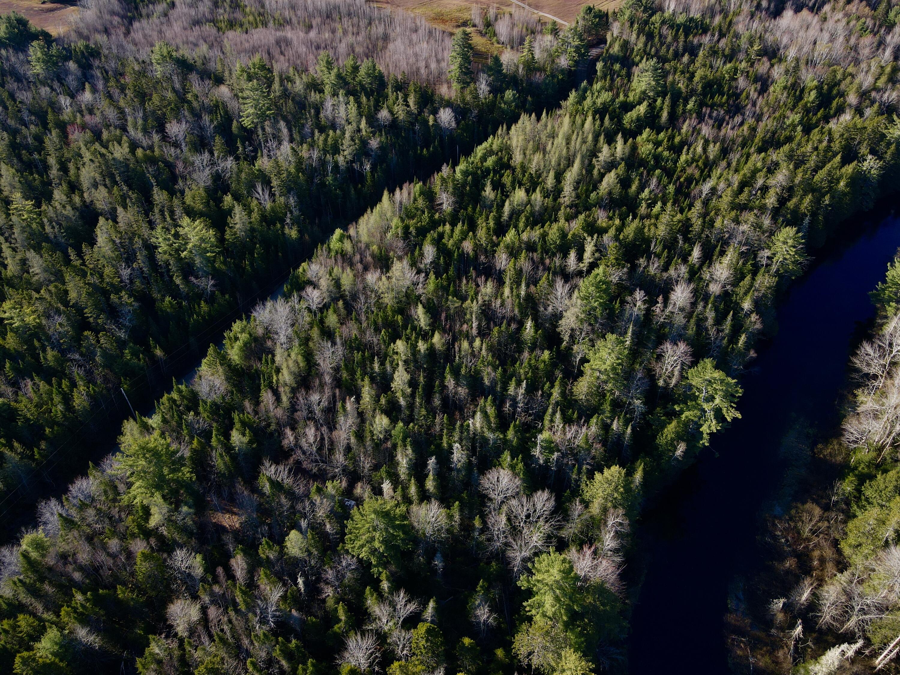 5 River Bend Road, Unit 5 Deblois, ME 04622 - Photo 2 of 25 Aerial