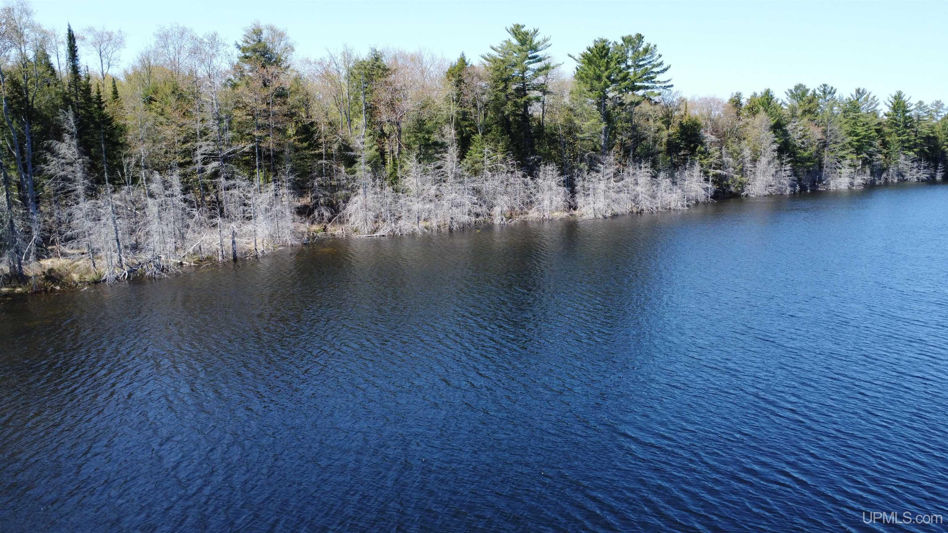 Off Adams Trail Shingleton, MI 49884 - Photo 42 of 46