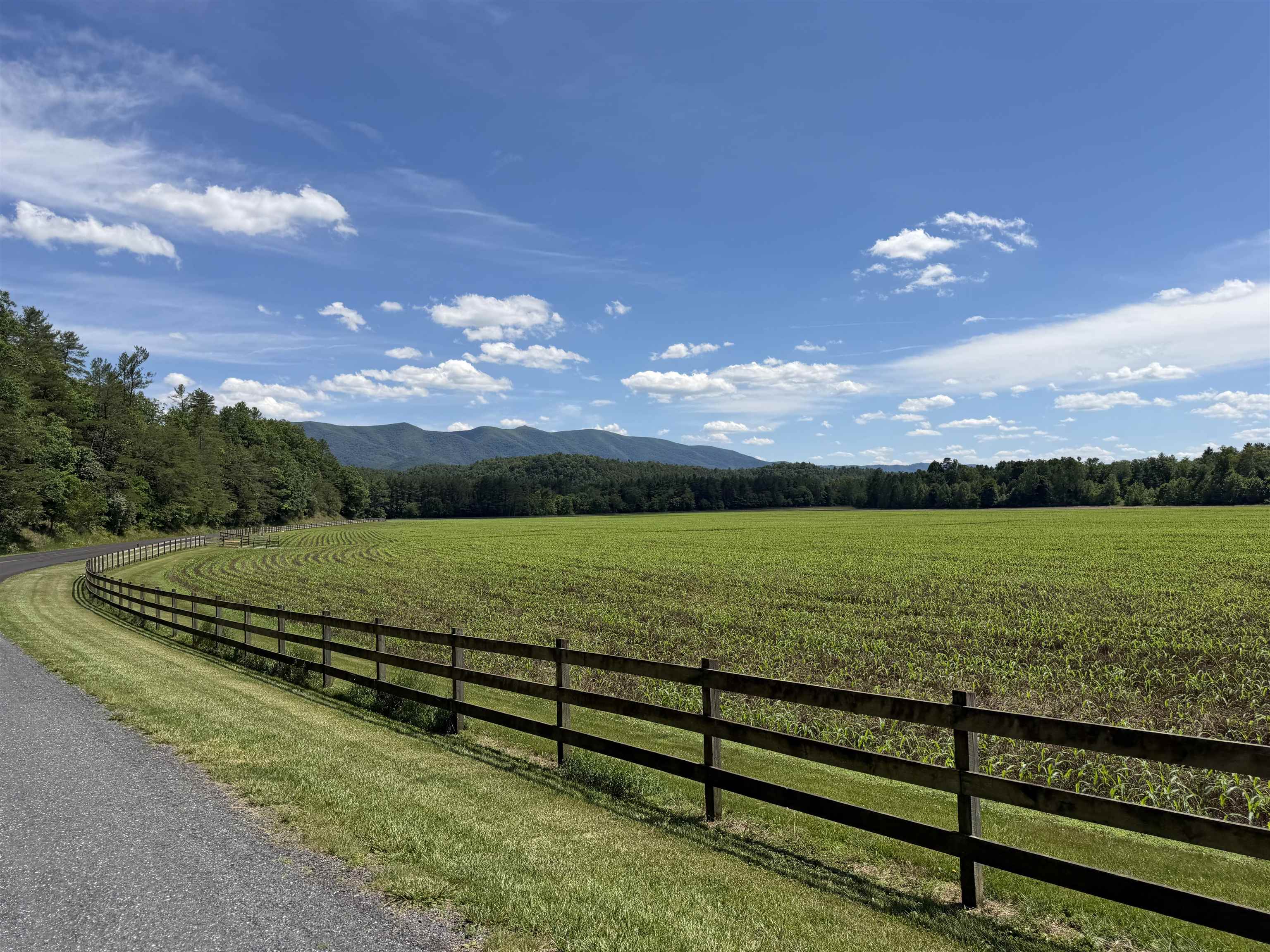 562 West Augusta Road West Augusta, VA 24485 - Photo 45 of 50