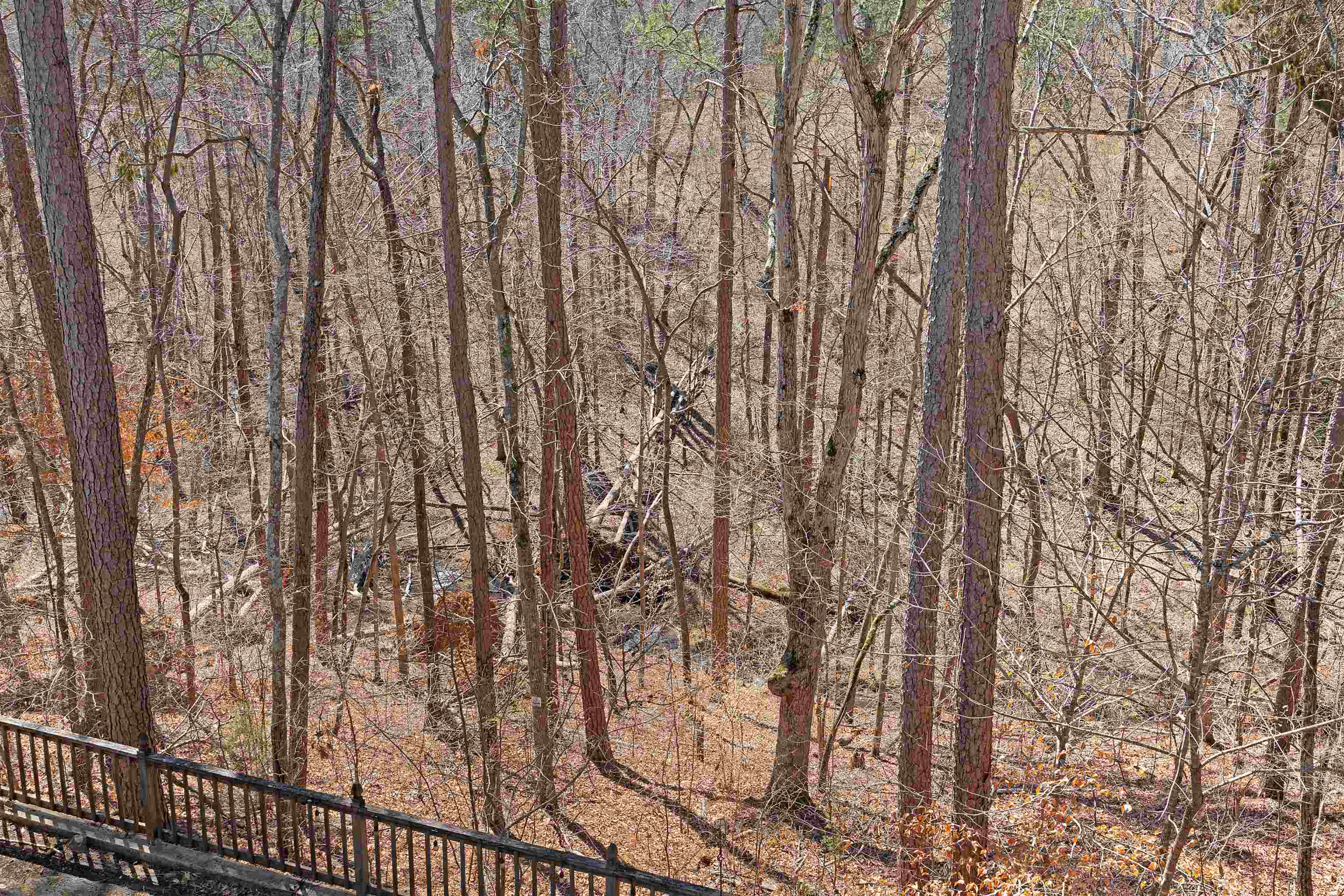 110 Falling Leaf Lane Counce, TN 38326 - Photo 29 of 31 a view of lots of trees