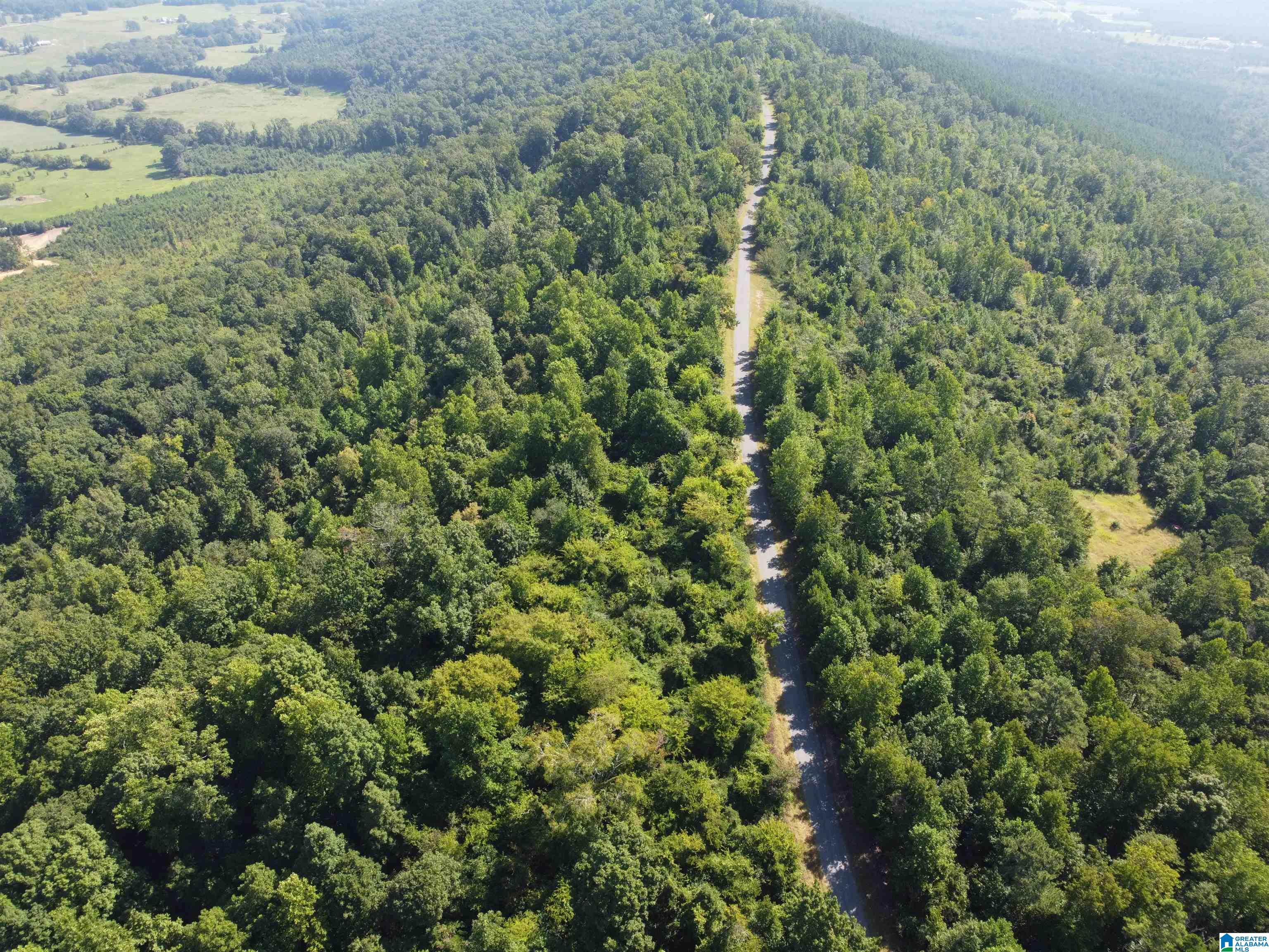 0 Beaver Mountain Road Ashville, AL 35953 - Photo 13 of 40