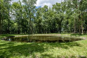 14346 Jerusalem Road Chelsea, MI 48118 - Photo 5 of 65