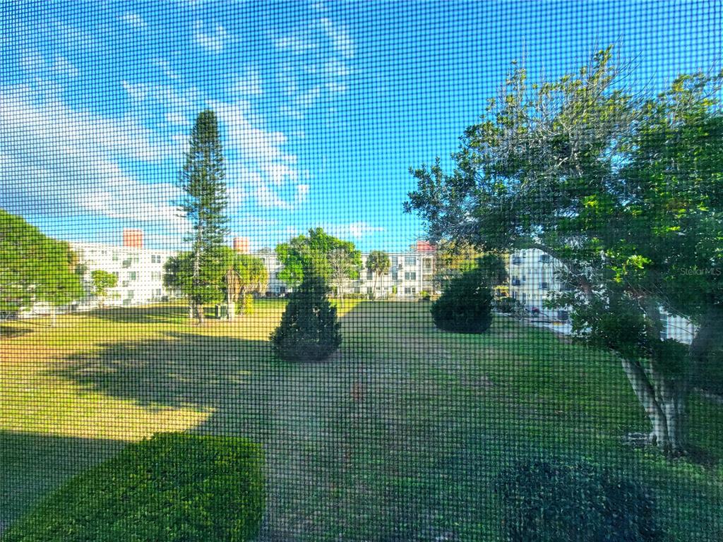 2371 Israeli Drive, Unit 39 Clearwater, FL 33763 - Photo 13 of 34