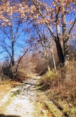 a view of yard covered with snow