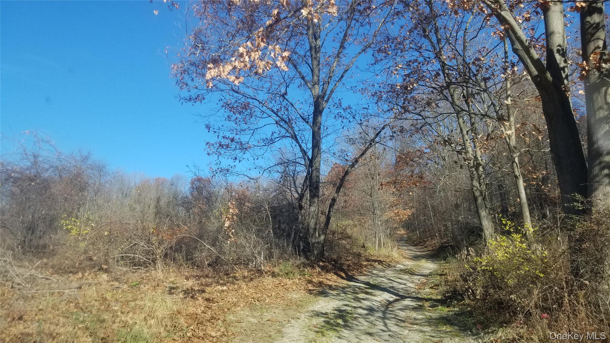 State Line Road Westtown, NY 10998 - Photo 12 of 15 a view of a yard