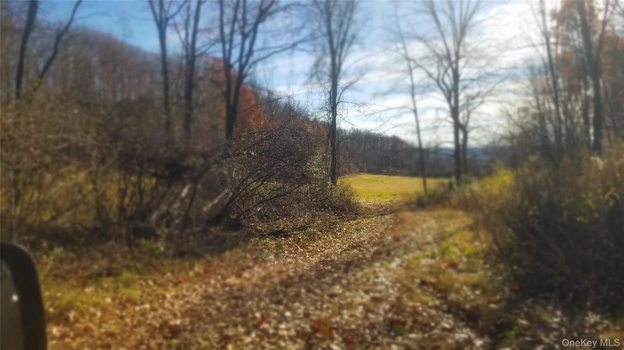 State Line Road Westtown, NY 10998 - Photo 13 of 15 a view of a yard