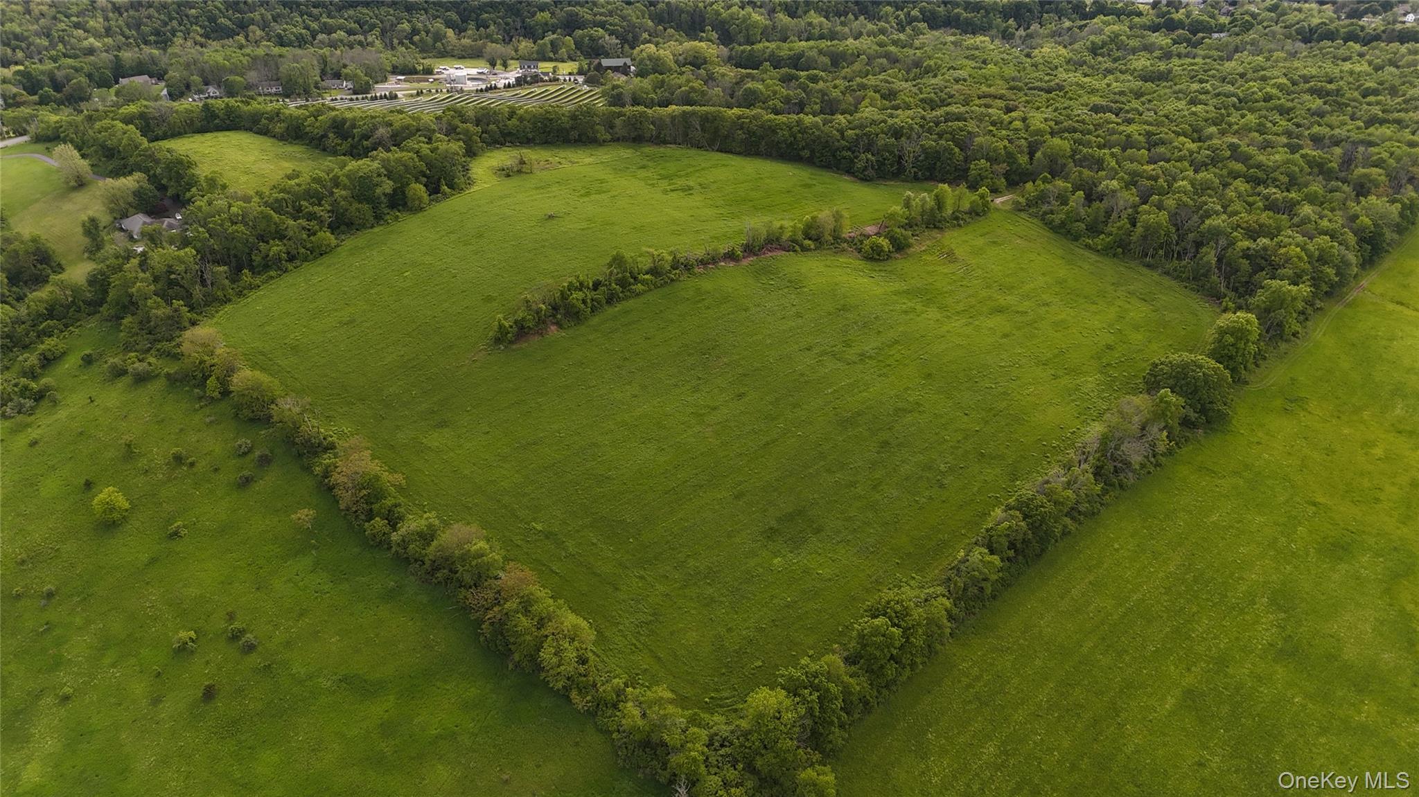State Line Road Westtown, NY 10998 - Photo 5 of 15 a view of a water with a yard