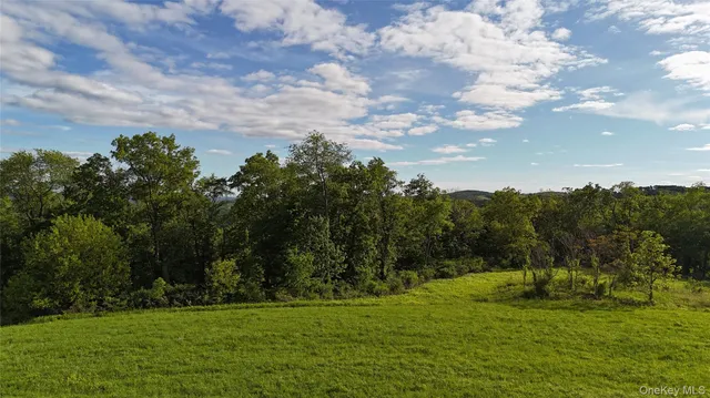 a backyard of a house with lots of green space