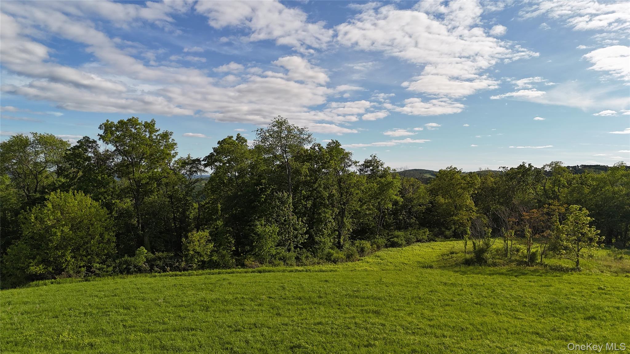 State Line Road Westtown, NY 10998 - Photo 7 of 15 a backyard of a house with lots of green space