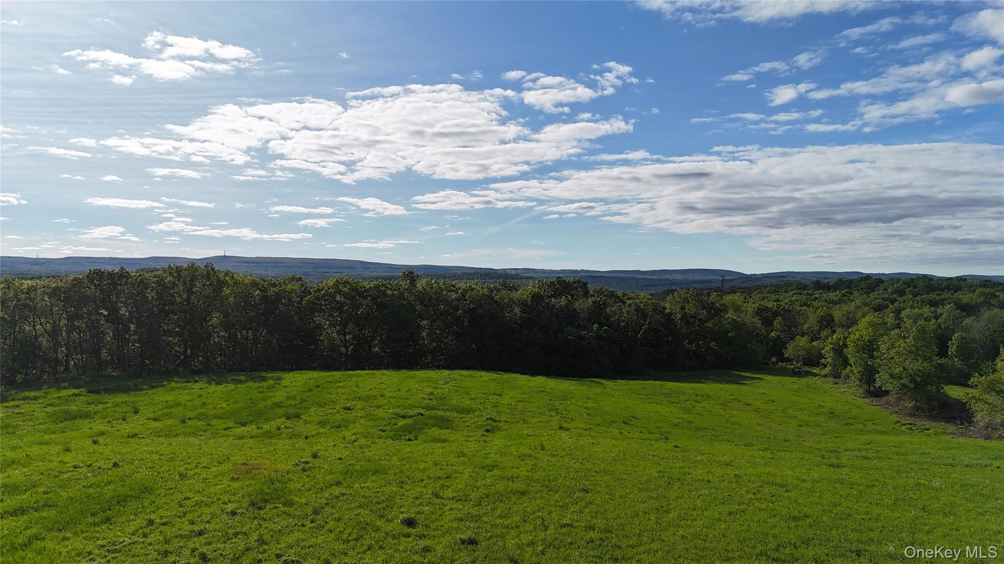State Line Road Westtown, NY 10998 - Photo 8 of 15 a view of a backyard