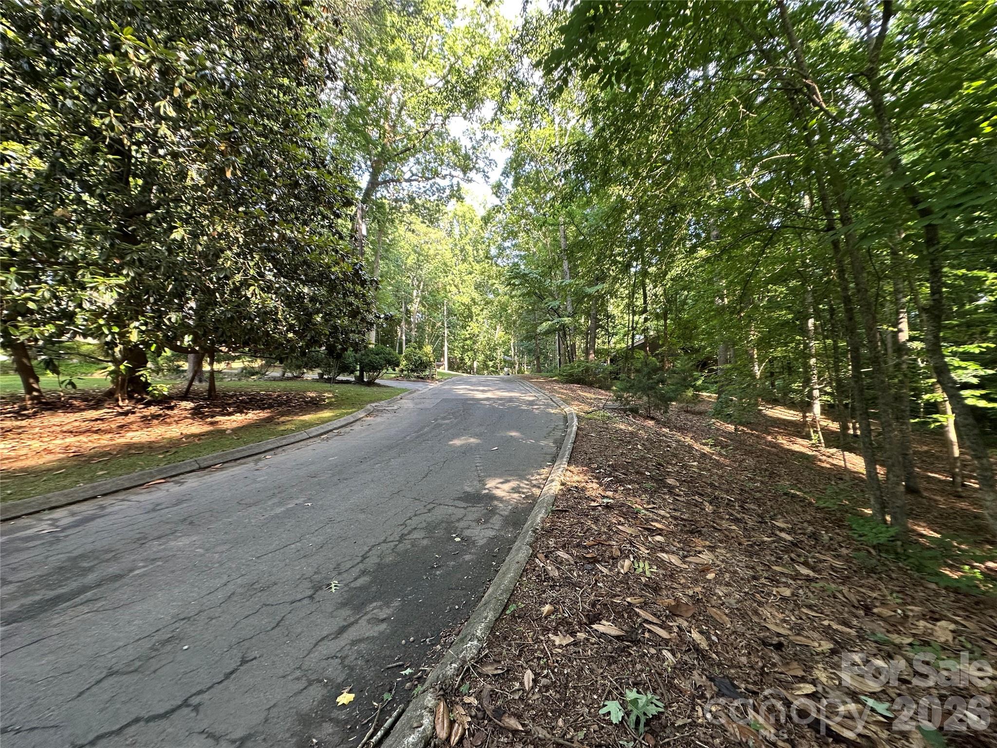 0 Briarcliff Road Rockwell, NC 28138 - Photo 14 of 25