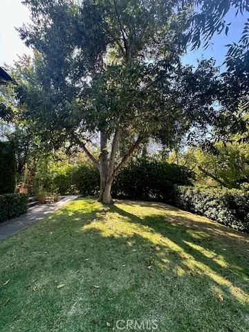 a view of a yard with a trees