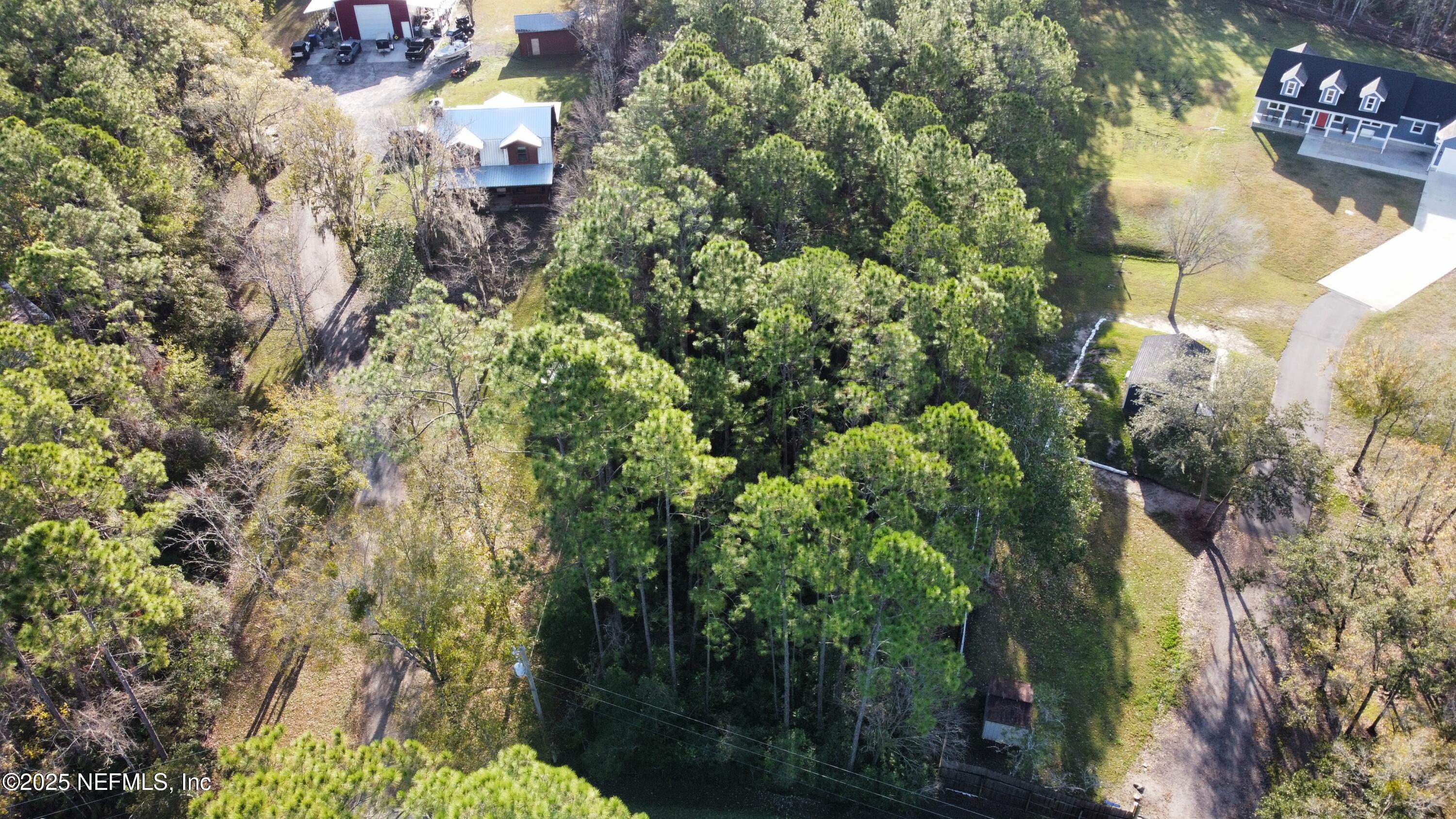 282 Circle Drive East St. Augustine, FL 32084 - Photo 1 of 8 a view of a yard