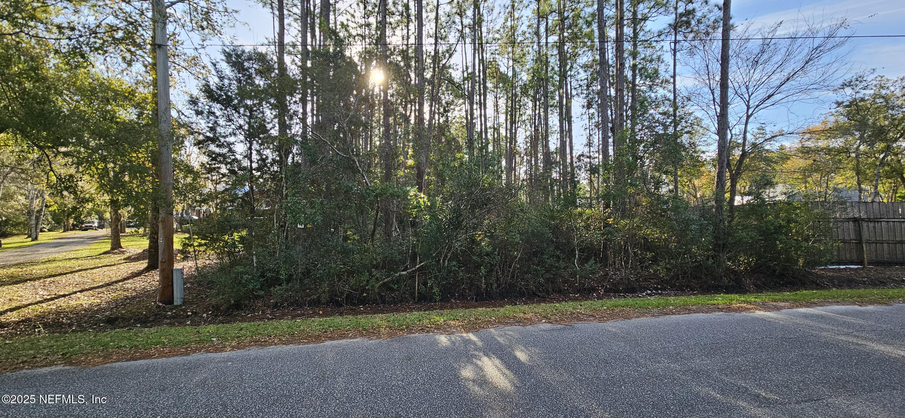 282 Circle Drive East St. Augustine, FL 32084 - Photo 4 of 8 a view of a yard