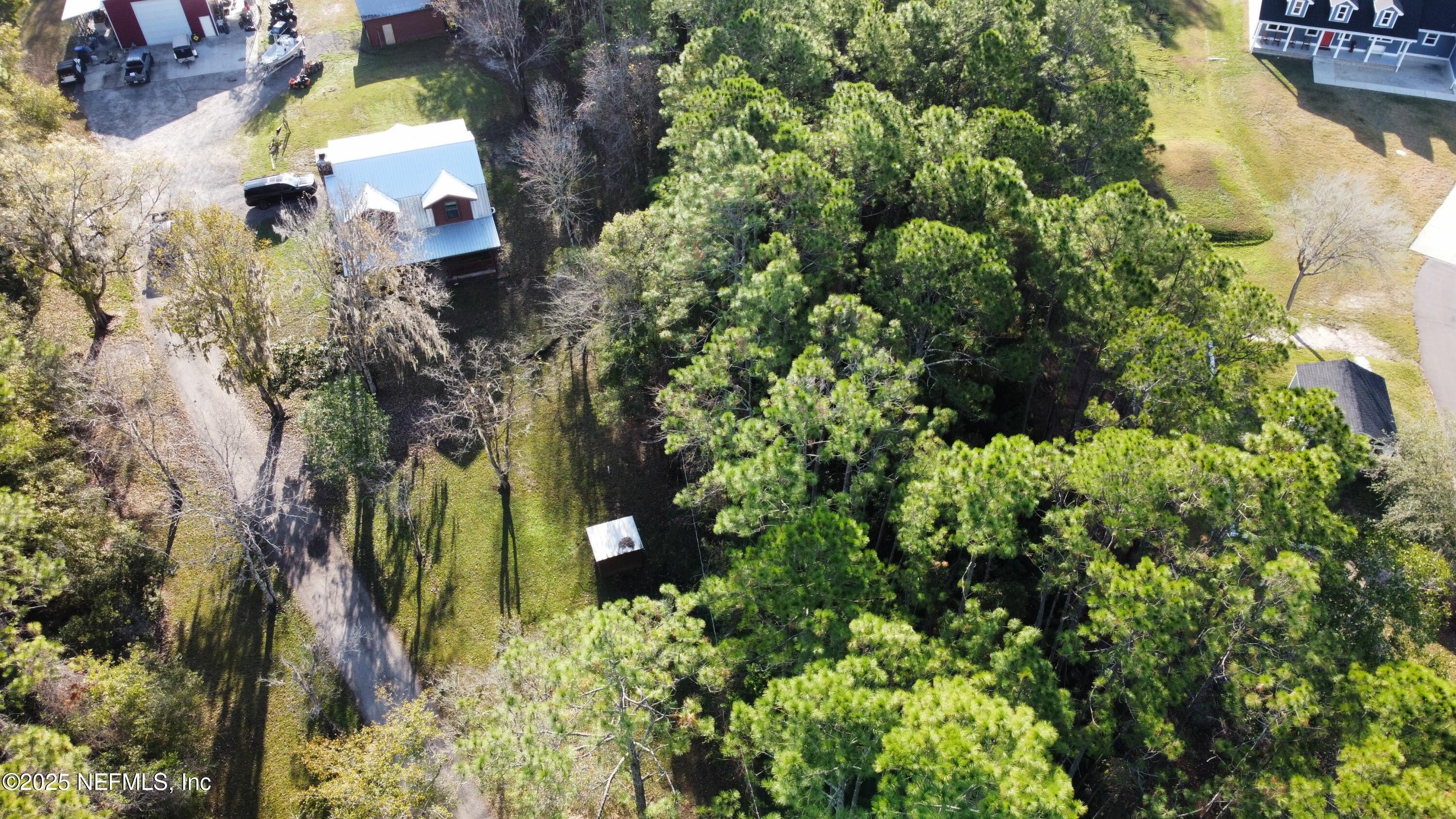 282 Circle Drive East St. Augustine, FL 32084 - Photo 7 of 8 a view of a garden with plants and large trees