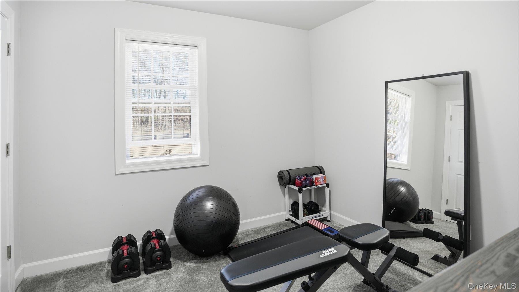 130 Beaver Dam Road Brookhaven, NY 11719 - Photo 23 of 30 Workout area featuring carpet flooring and healthy amount of natural light