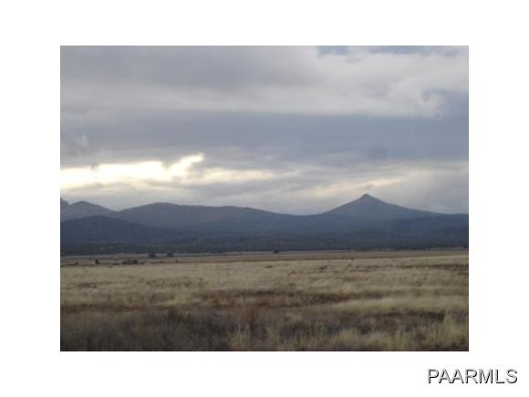 24612 North Big Springs Ranch Road Paulden, AZ 86334 - Photo 1 of 21 Primary Photo